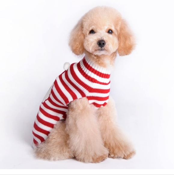 NEW BOBIBI Red Striped Dog Sweater Christmas Santa Pet Cat Winter Knitwear Warm - Picture 2 of 9